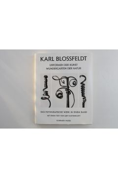 Karl Blossfeldt / Gert Mattenklott Art Forms in Nature (German Edition) 1809