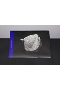 Harold Strak, Flip Bool Harold Strak - Arthropoda 1241