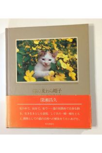 Masahisa Fukase The Strawhat Cat 1314
