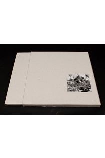 Lee Friedlander New Mexico 1402