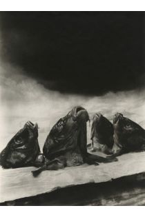 Christian Bouqueret Bauhaus Photographie 2540