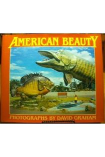 David Graham American Beauty 2612