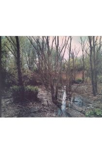 Wout Berger Giflandschap / Poisoned landscape 2687