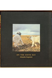 Alessandra Sanguinetti On the Sixth Day 2772