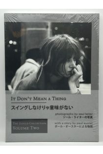 Paul Auster, Saul Leiter It Don't Mean A Thing 2765