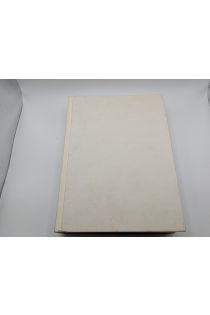 Boris Mikhailov Case History 2834