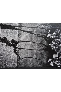 Jacob Aue Sobol I, Tokyo 643