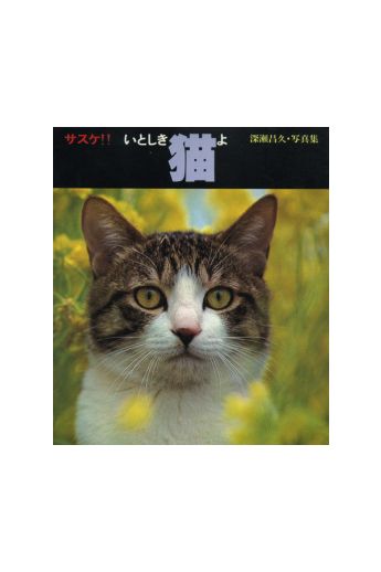 Masahisa Fukase Sasuke! My dear cat 1317