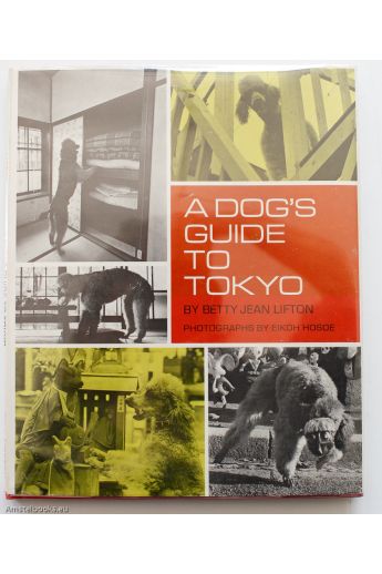 Eikoh Hosoe, Betty Jean Lifton A dog's guide to Tokyo 1345