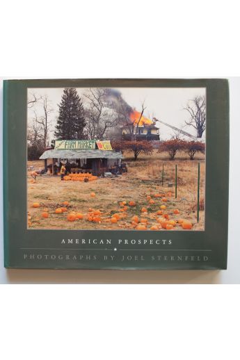 Joel Sternfeld American Prospects 1510