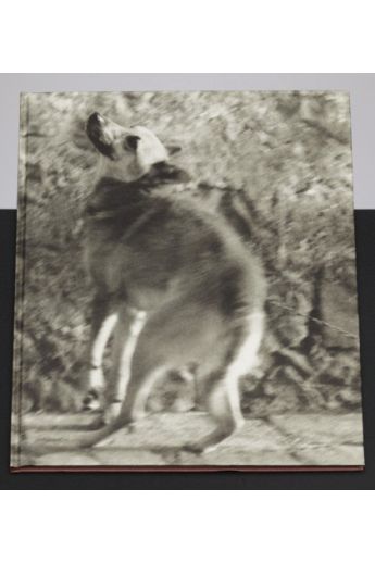 Ulay Ulay Portraits 1970-1993 1638