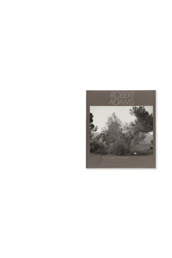 Robert Adams To Make It Home: Photographs of the American West 1873