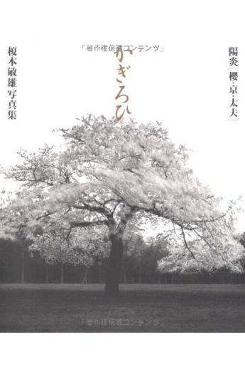 Toshio Enomoto Kagirohi 2158
