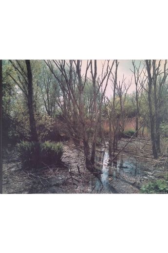 Wout Berger Giflandschap / Poisoned landscape 2687
