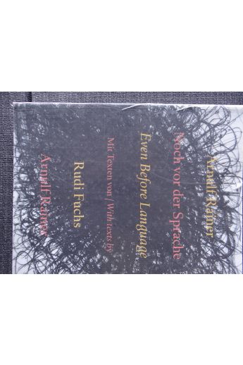 Arnulf Rainer, Rudi Fuchs Arnulf Rainer Even Before Language 358