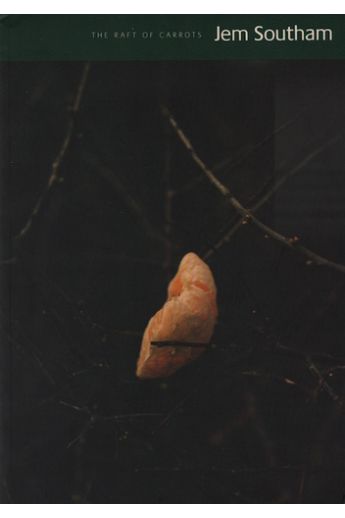 Jem Southam The Raft of Carrots 2896