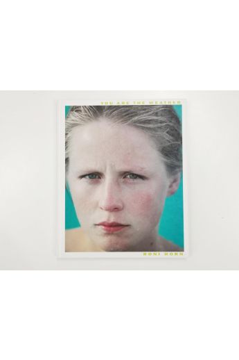 Roni Horn You are the weather 2908