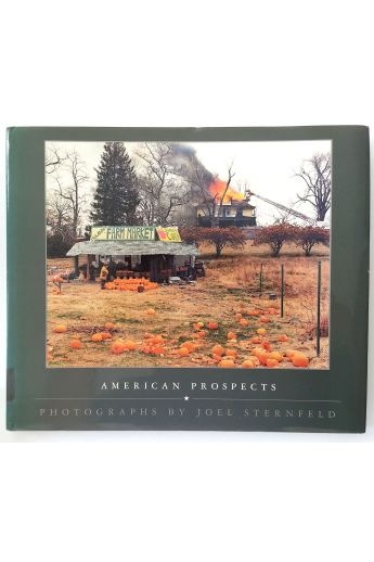 Joel Sternfeld American Prospects 39